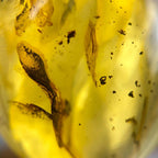 Amber Pendant