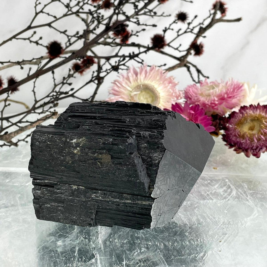 Black Tourmaline Large Raw & Polished Generator Crystal Points
