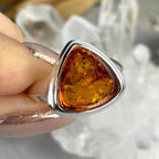 Real Baltic Amber Australia