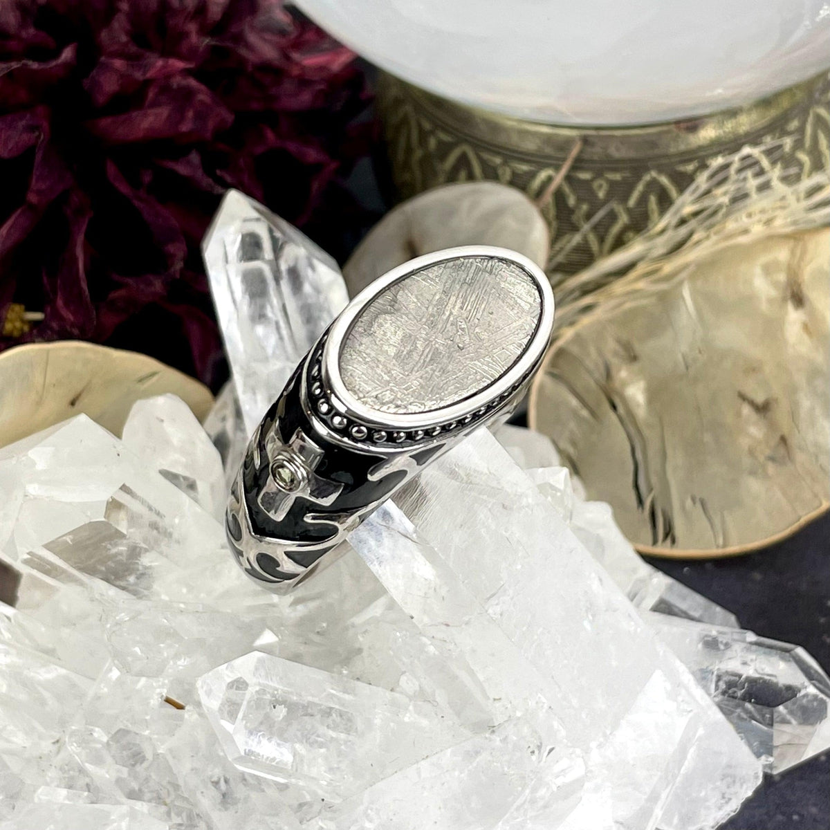 Large Band Size Meteorite Ring