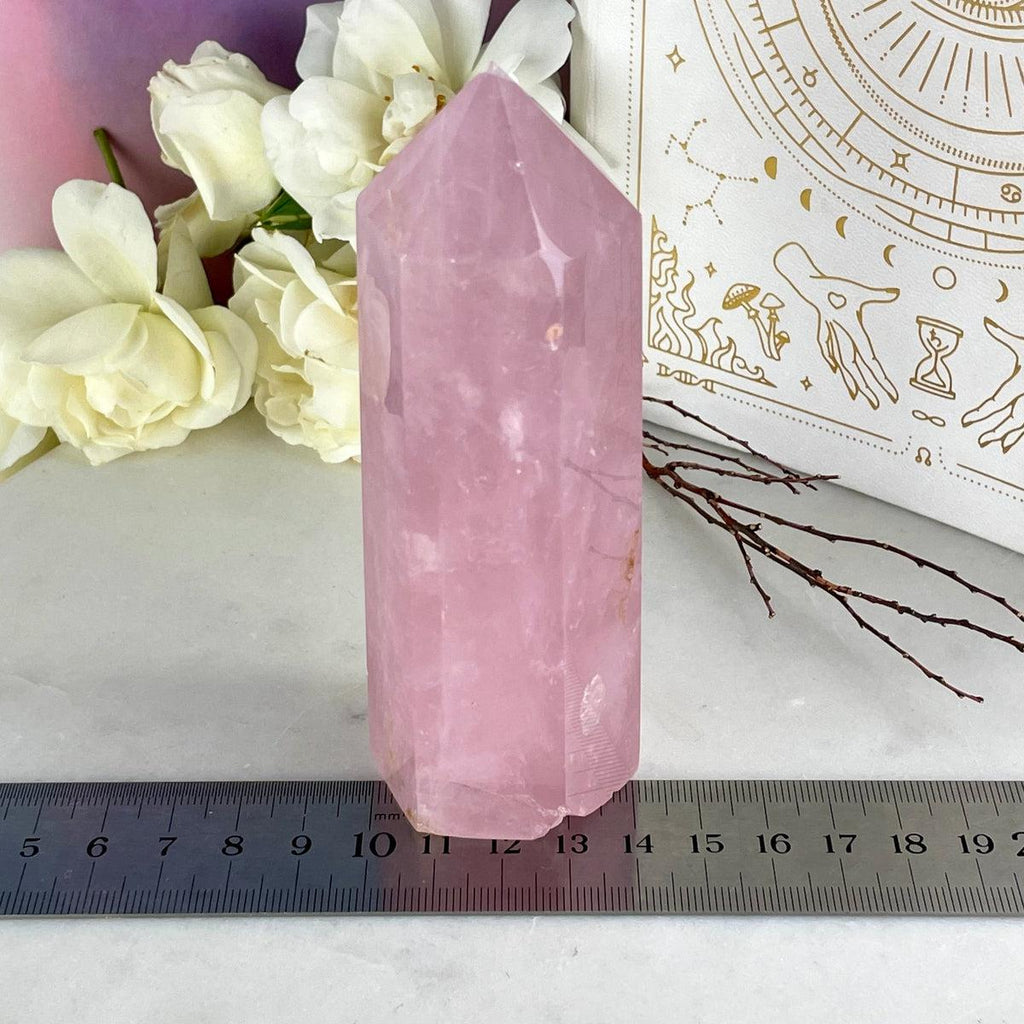 Women's Crystal
