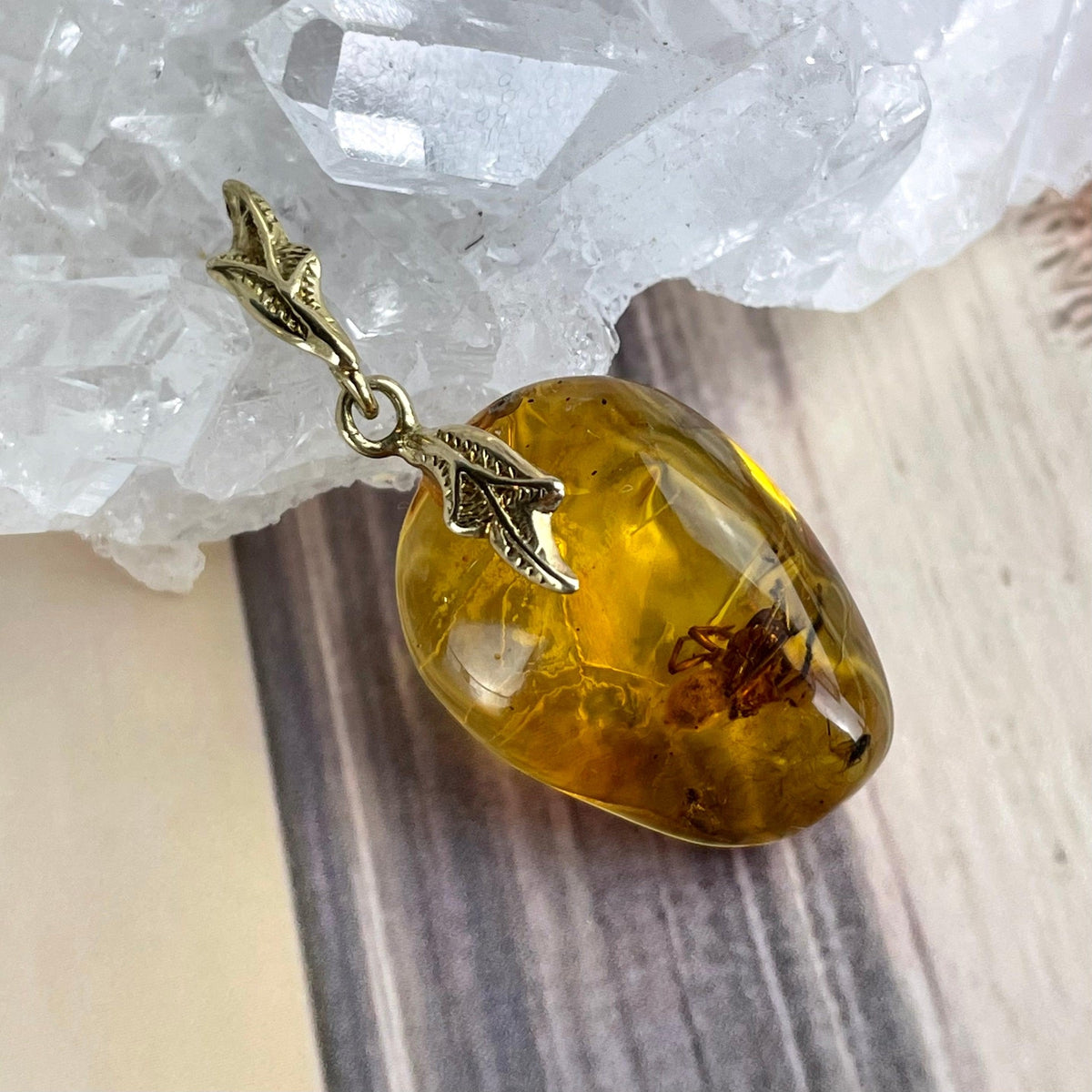 Insects In Fossilised Tree Sap