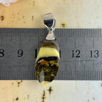 Baltic Amber