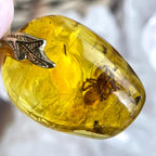 Insects In Tree Sap Pendant