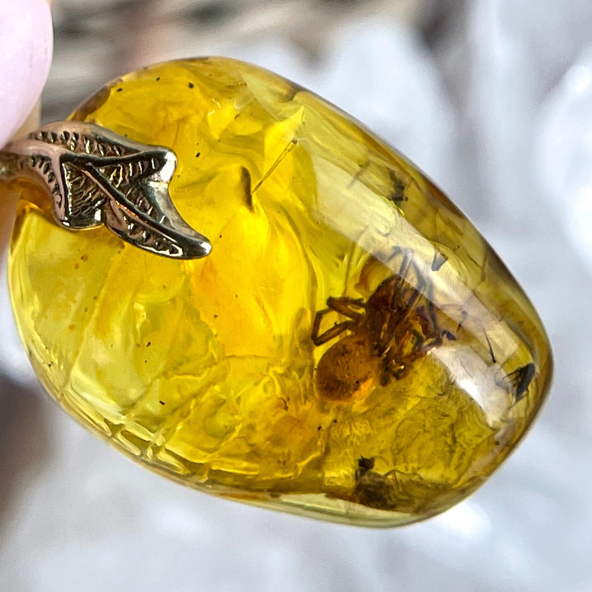 Insects In Tree Sap Pendant