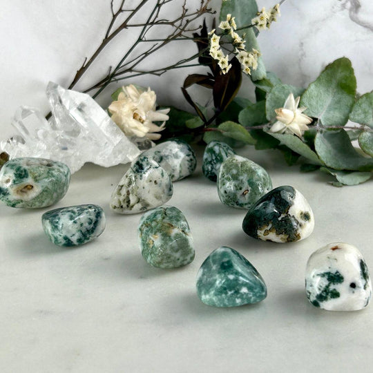 Tree Agate Tumbled Stones