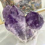 Extra Large Amethyst Cluster