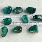 Chrysocolla 
