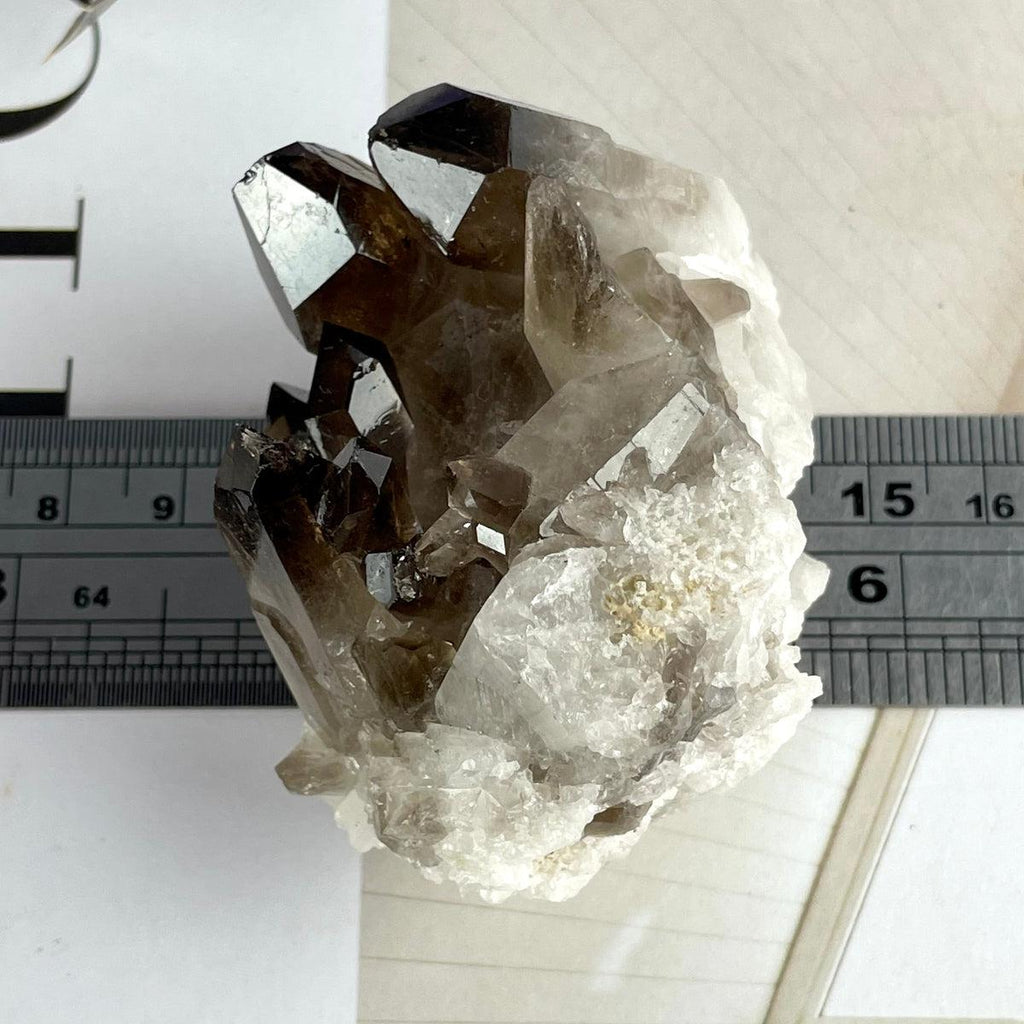 Smokey Quartz