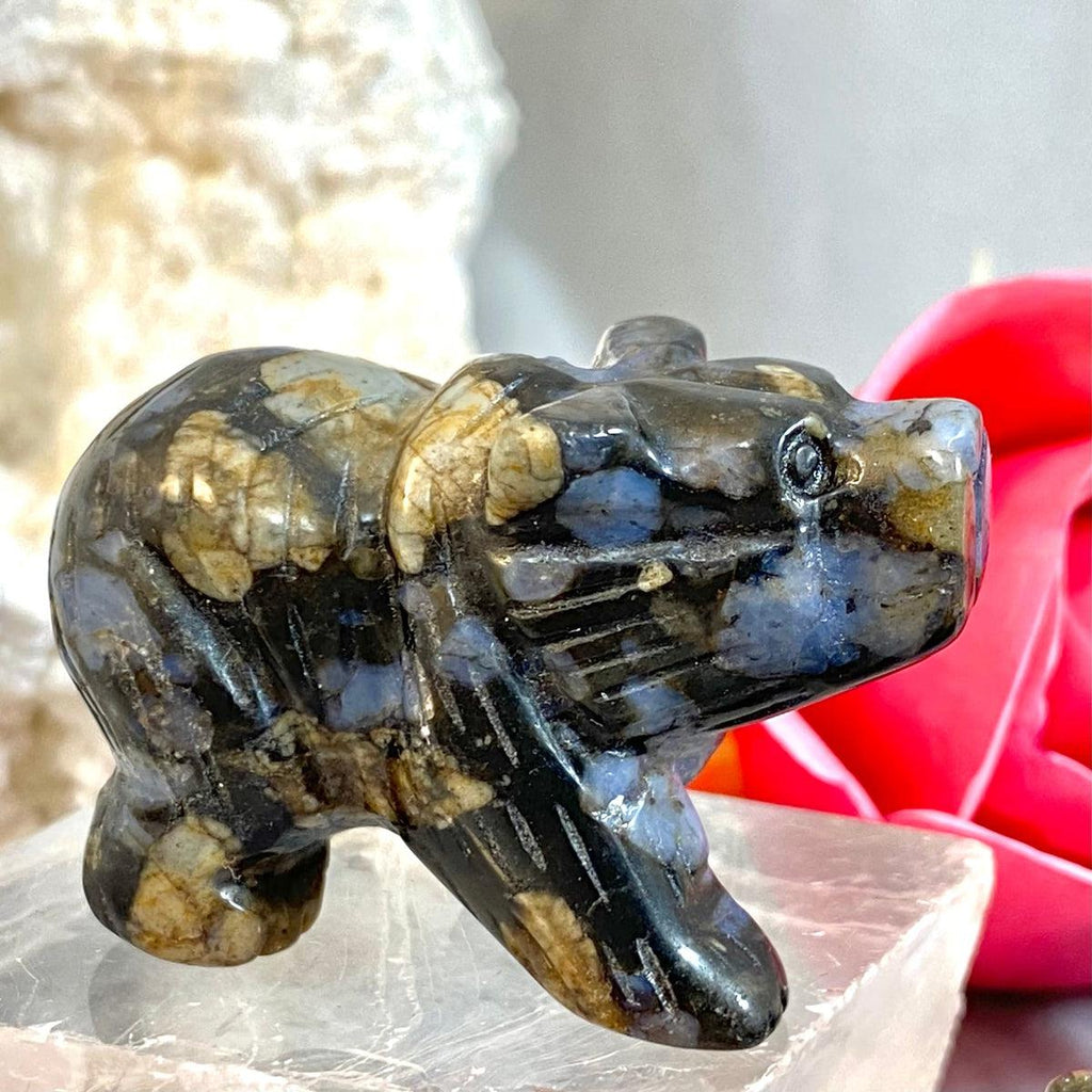 Llanite Bear