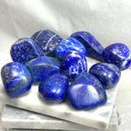 Lapis Lazuli Tumbled Stones