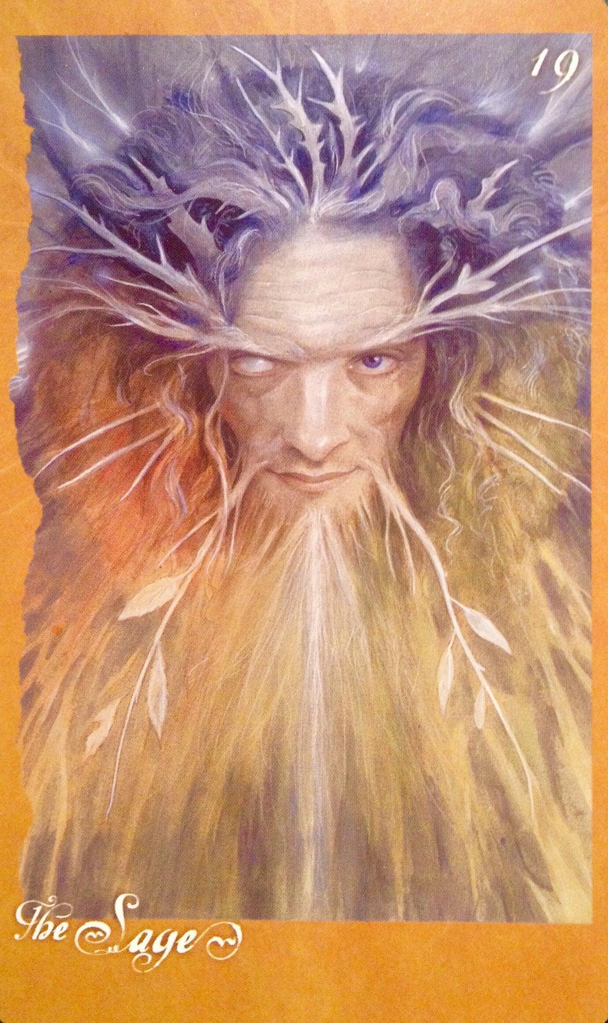 The Faeries Oracle - Brian Froud